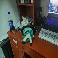 Dataset Image
