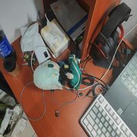 Dataset Image