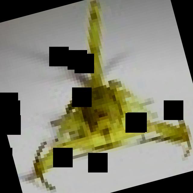 Dataset Image