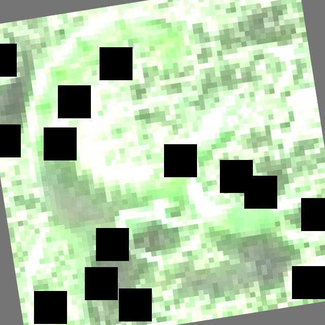 Dataset Image