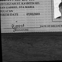 Dataset Image
