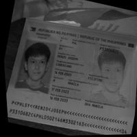 Dataset Image