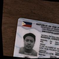 Dataset Image