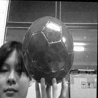 Dataset Image