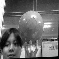 Dataset Image