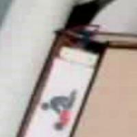 Dataset Image