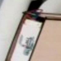 Dataset Image