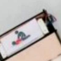 Dataset Image