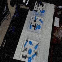 Dataset Image