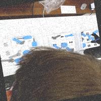 Dataset Image