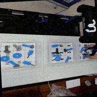 Dataset Image