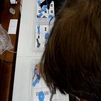 Dataset Image