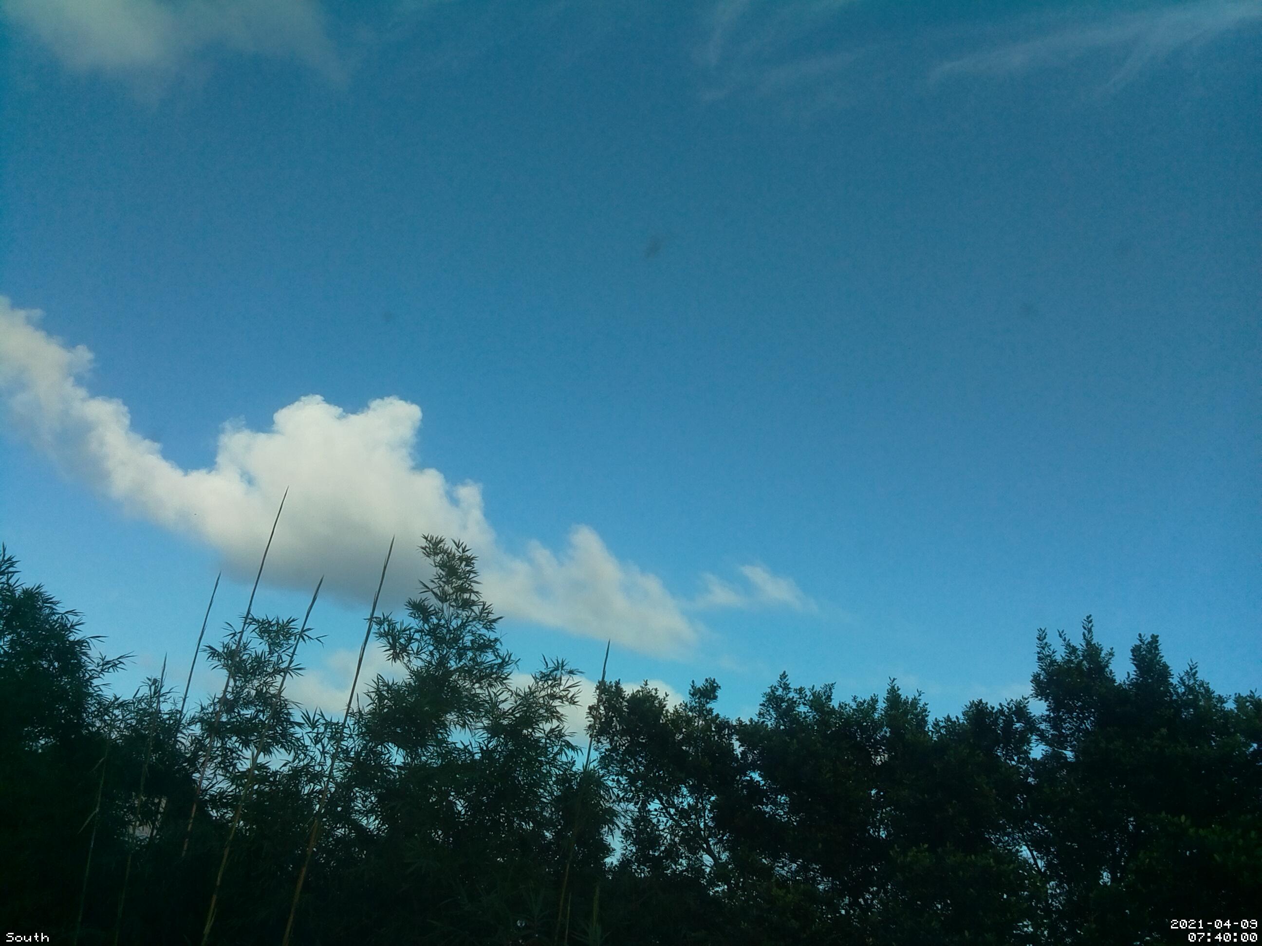 Dataset Image