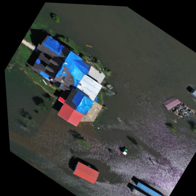 Dataset Image