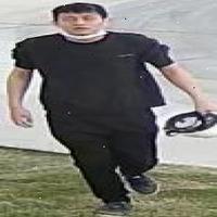 Dataset Image