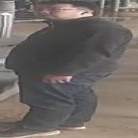 Dataset Image