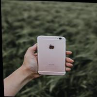 Dataset Image