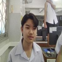 Dataset Image