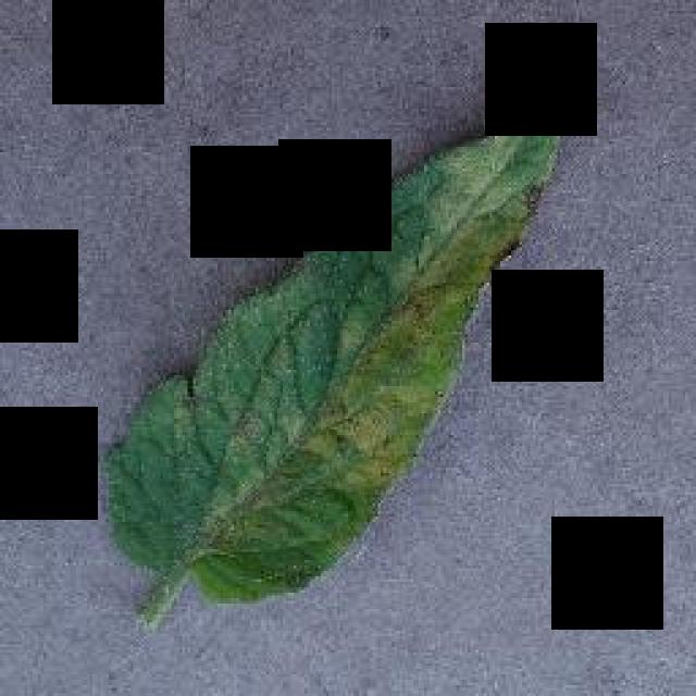 Dataset Image