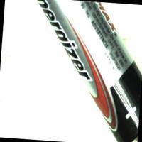 Dataset Image