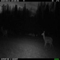 Dataset Image