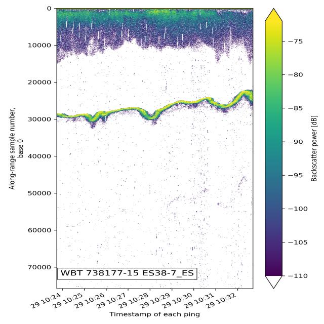 Dataset Image