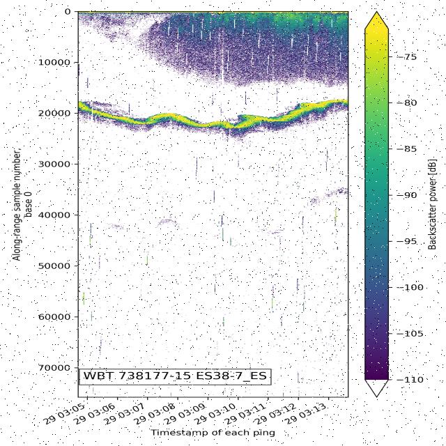 Dataset Image