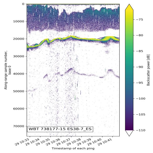 Dataset Image