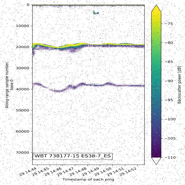 Dataset Image