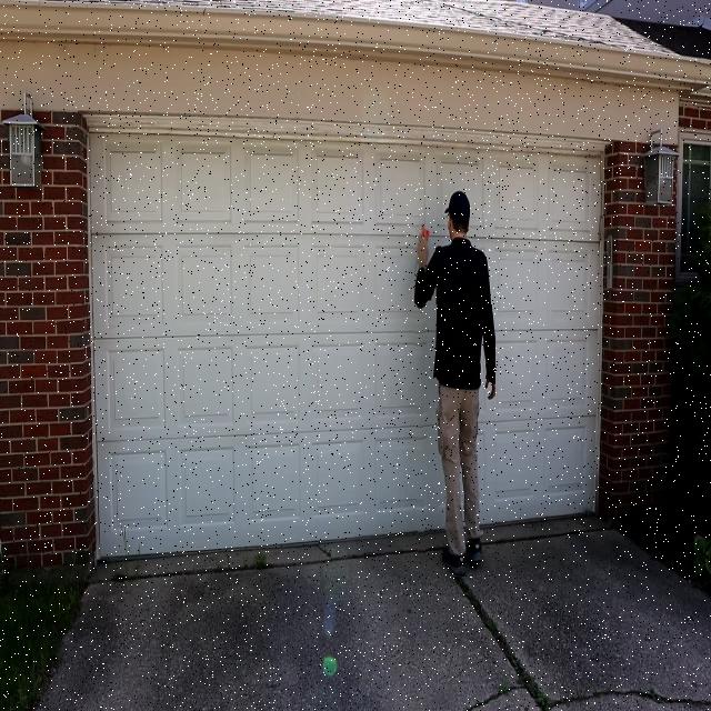 Dataset Image