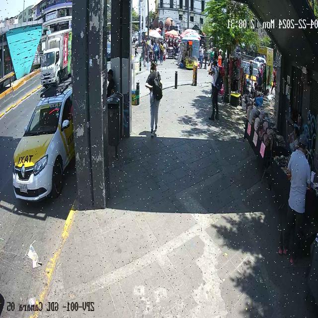 Dataset Image