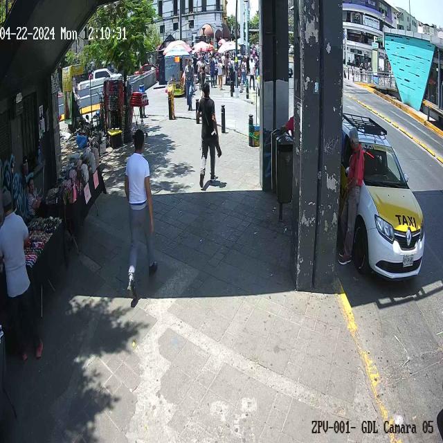Dataset Image