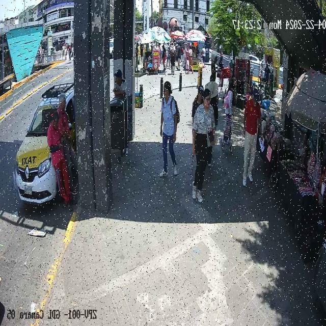 Dataset Image