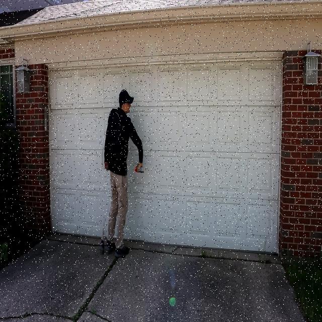Dataset Image
