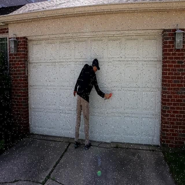 Dataset Image