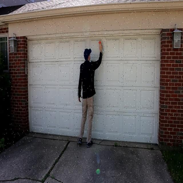 Dataset Image