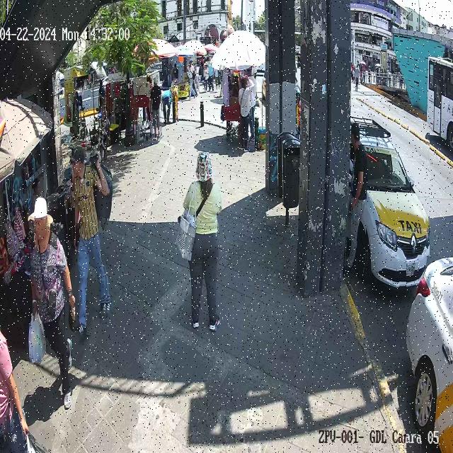Dataset Image