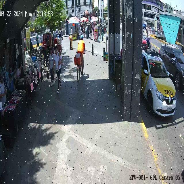 Dataset Image