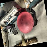 Dataset Image