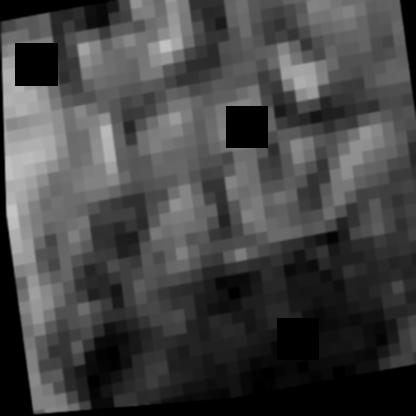 Dataset Image