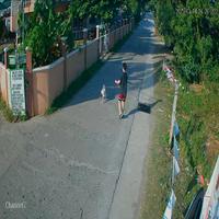 Dataset Image