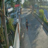 Dataset Image