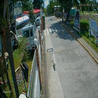 Dataset Image