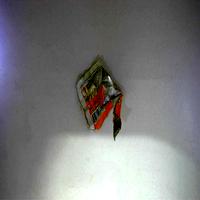 Dataset Image