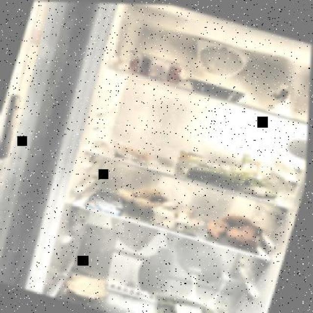 Dataset Image