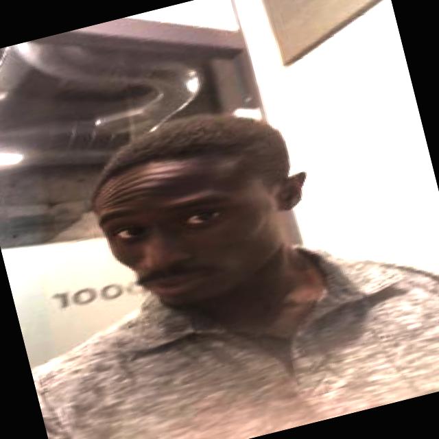 Dataset Image