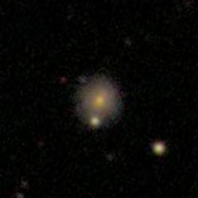 Dataset Image