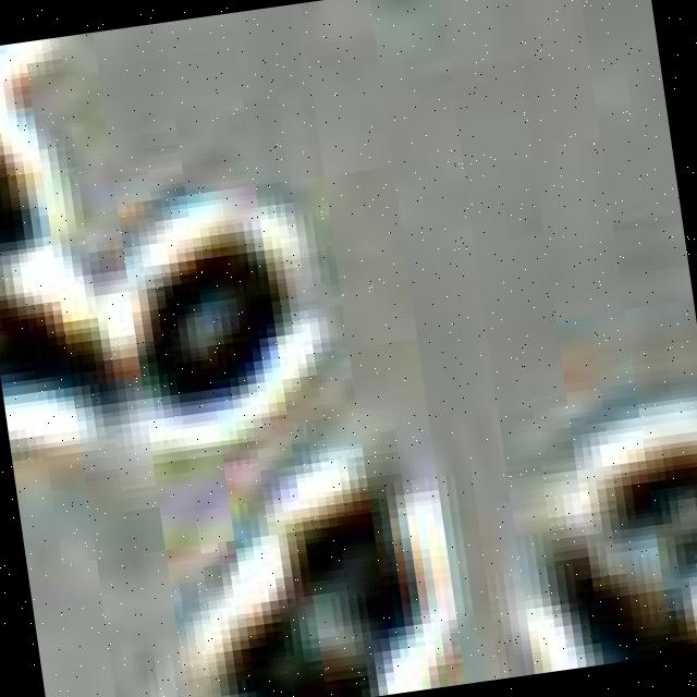 Dataset Image