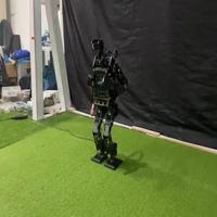 Dataset Image