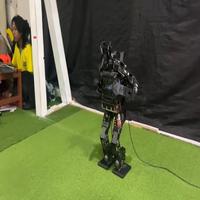 Dataset Image